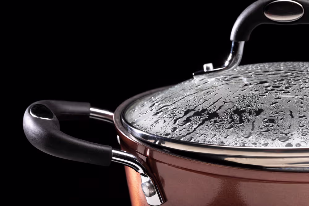 Best Pot for Biryani in Germany